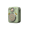 DIVOOM Beetle FM Speaker Green