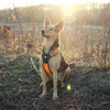 Reflective Heavy Duty Harness Orange L