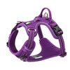 No Pull Harness Purple M