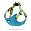 Urban Harness Blue/Green M