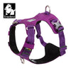 Lightweight Harness Purple M