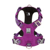 Lightweight 3M reflective Harness Purple L