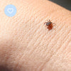 Mitey Tick Off For You Electronic Tick Repeller