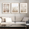 Wall Art 50cmx70cm Dried Flower 3 Sets Wood Frame Canvas