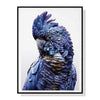 Wall Art 60cmx90cm Black Cockatoo A Black Frame Canvas