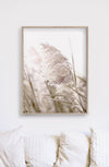 50cmx70cm Pampas Grass 2 Sets Wood Frame Canvas Wall Art