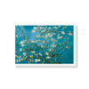 50cmx70cm Van Gogh Almond Blossom White Frame Canvas Wall Art