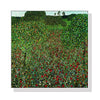 Wall Art 100cmx100cm Field of Poppies by Gustav Klimt White Frame Canvas