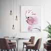 Wall Art 50cmx70cm Pink Galah White Frame Canvas