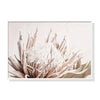 Wall Art 40cmx60cm Pure Protea II White Frame Canvas