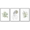 Wall Art 40cmx60cm Botanical Line Girl 3 Sets Black Frame Canvas