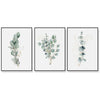 Wall Art 50cmx70cm Eucalyptus Plant 3 Sets Black Frame Canvas