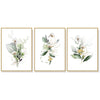 Wall Art 50cmx70cm Green and Gold Watercolor Botanical 3 Sets Gold Frame Canvas