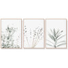 Wall Art 40cmx60cm Lavender Eucalyptus 3 Sets Wood Frame Canvas