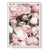 Wall Art 50cmx70cm Peony White Frame Canvas