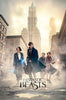 Fantastic Beasts - New York Street Poster