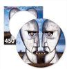 Division Bell Pink Floyd 450 Piece Picture Disc Puzzle