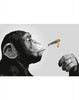 Steez Smoking Chimp Poster