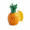 Pineapple Salt Pepper Set