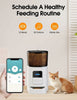 FLOOFI WiFi 6L Automatic Pet Feeder (White) FI-FD-121-CX