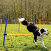 Floofi Dog Agility Training Set FI-DGT-100-SL / FI-DGT-100-YX