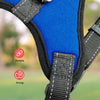 FLOOFI Dog Harness XXL Size (Blue) FI-PC-163-XL