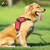 FLOOFI Dog Harness XL Size (Red) FI-PC-160-XL