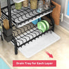 GOMINIMO 2-Tier Dish Rack with Utensil Holder GO-DR-101-HZ