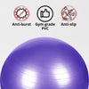 VERPEAK Yoga Ball 65cm (Silver) FT-YB-103-SD / FT-YB-103-ZM