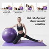 Verpeak Yoga Ball 65cm (Purple) FT-YB-104-SD