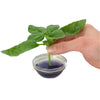 50ml Clonex Rooting Hormone Purple Gel Propagation Clone Plant Growth Technology