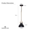 Sarantino Black and Gold Pendant Light