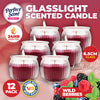 Perfect Scent 12PCE Wild Berries Scented Fragrant Candle Glass Holder 6.5cm