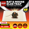 SAS Pest Control 48PCE Rat Mice Traps Ready To Use Disposable 17 x 23cm