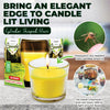 Garden Greens 24PCE Citronella Scented Glass Candle Pots 120g