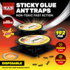 SAS Pest Control 192PCE Ant Traps Fast Acting Indoor/Outdoor Disposable