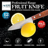 KIWI 12PCE Fruit Knife Premium Professional Range Tempered Steel Blade 19.5cm