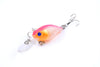 6x 6cm Popper Crank Bait Fishing Lure Lures Surface Tackle Saltwater