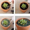 10x 5cm Flower Pot Pots Clay Ceramic Plant Drain Hole Succulent Cactus Nursery Planter