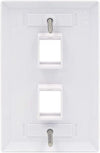 2 Port QuickPort outlet Wall Plate face plate, two Gang White