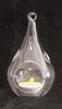 50 Wholesale Pack of Hanging Clear Glass Tealight Candle Holder Tear Drop Pear Shape - 12cm High - Terrarium Plant Mini Garden Holder Decor