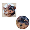 Tapestry Pet Cat Dog Square Cushion Cover Design 1