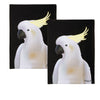 IDC Homewares Set of 2 Christopher Vine Design Tea Towels Cockatoo