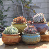 4/5/6 Pots Set Ceramic Clay Pottery Pots Succulent Flower Planter Draining Hole(Style 01# 4 Pots Set)