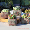 4/5/6 Pots Set Ceramic Clay Pottery Pots Succulent Flower Planter Draining Hole(Style 02# 4 Pots Set)