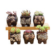 4/5/6 Pots Set Ceramic Clay Pottery Pots Succulent Flower Planter Draining Hole(Style 04# 6 Pots Set)